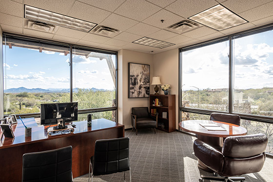 Private execute office interior